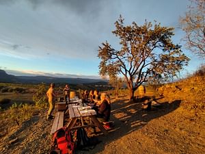 Sunset Walk & Wine Tasting in the heart of Priorat vineyards