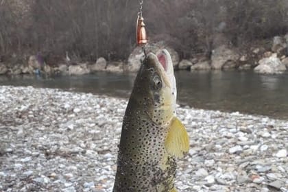Fishing Trout in Albania – Just 1 hour driving from Tirana
