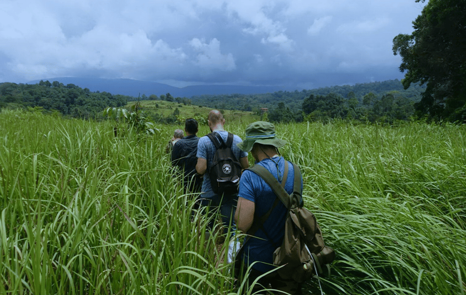 Khao Yai National Park Adventure: Waterfalls & Hiking Trails