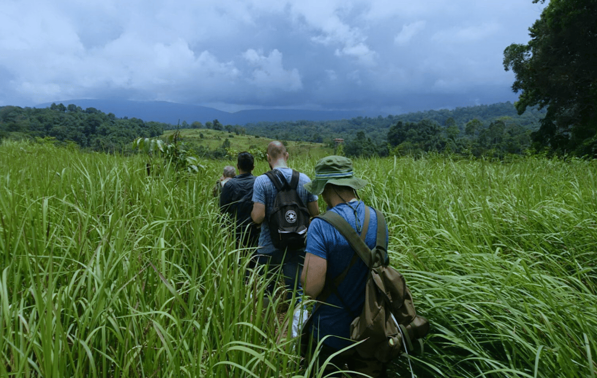 Khao Yai National Park Adventure: Waterfalls & Hiking Trails