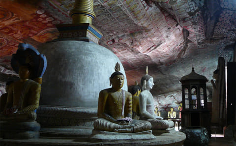 14-Day Adventure and Birdwatching Tour in Colombo, Sri Lanka