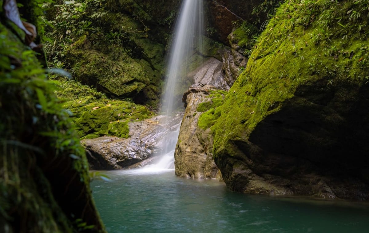 Puc-02 : Embrace the Beauty of Alto Shambillo