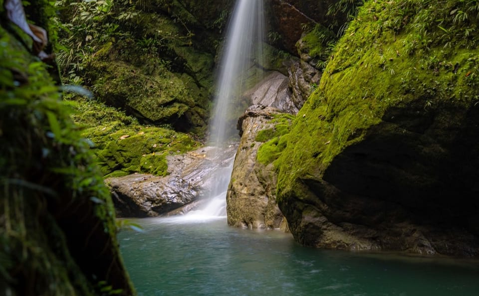 Adventure Tour of Alto Shambillo near Pucallpa, Peru