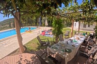 Small Group Wine, Bread & Cheese Experience with Farmhouse Lunch 2