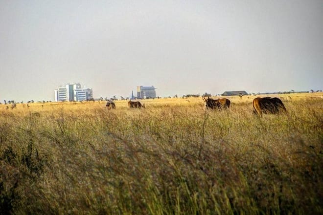 Nairobi National Park