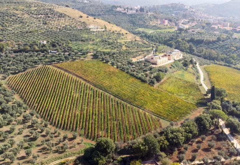 Wine Tour South of Rome 7