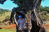 Volcanic Pools and Northwest 4WD Full Day Tour 8