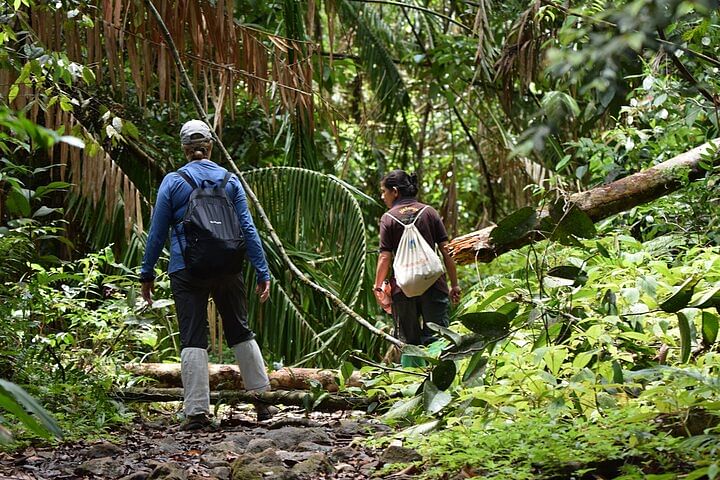 Sinharaja Rainforest Exploration Tour from Hambantota