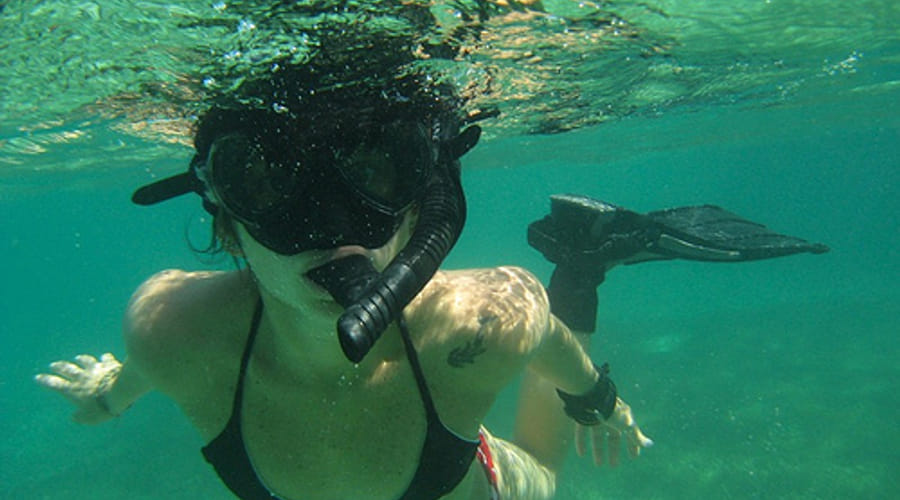 Snorkeling Tour: Reefs and Marine Life