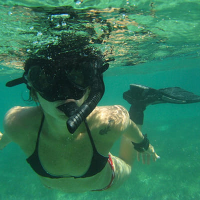 Snorkeling Tour: Reefs and Marine Life