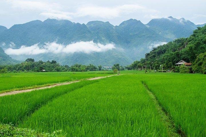 Full-day Authentic Mai Chau Experience