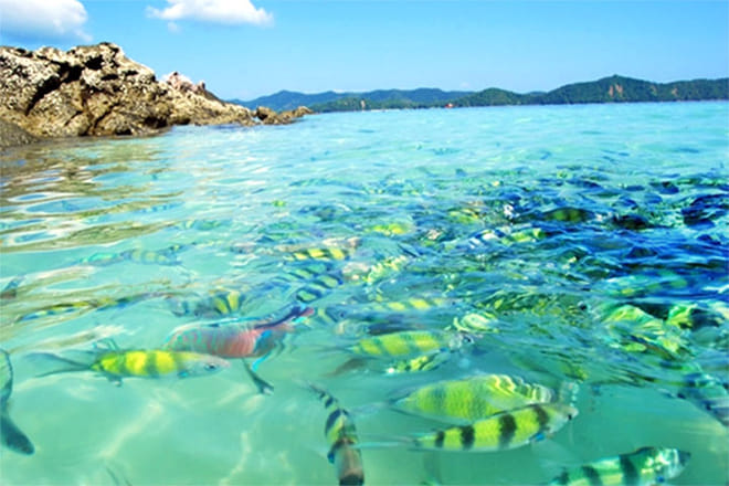 PHUKET Half Day: Khai 3 Islands (Afternoon) 7