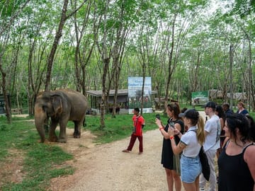30-Minutes Guided Tour & Transfer to Khaolak Elephant Sanctuary