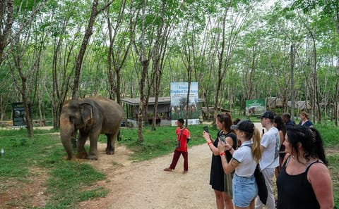 30-Minutes Guided Tour & Transfer to Khaolak Elephant Sanctuary