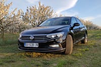 Private Transfer from Dubrovnik Airport to Your Hotel 9
