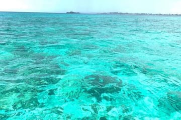 Doctors cave beach, Margaritaville,Glass bottom boat ride, and snorkeling combo