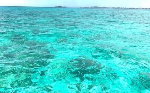 Doctors Cave Beach and Snorkeling Tour in Montego Bay