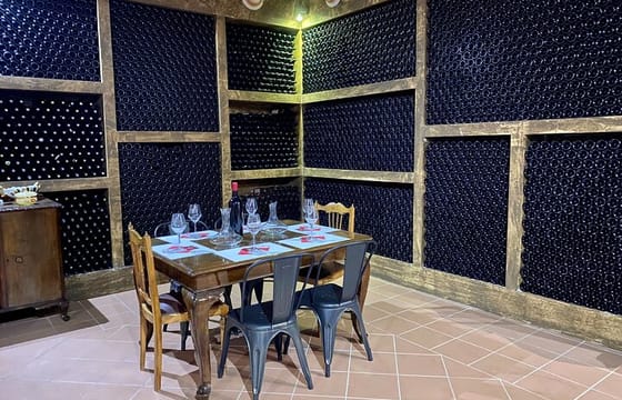 Wine Roads Private Day Tour: Corinth – Ancient Nemea & Wine Tasting