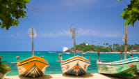 05 Nights/06 Days Beach & Safari Tour 2