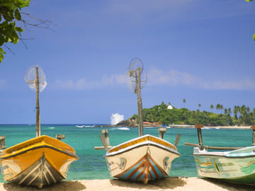 Beach and Safari Tour in Colombo, Sri Lanka - 6 Days
