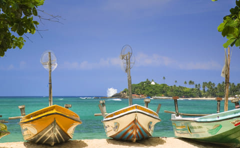 Beach and Safari Tour in Colombo, Sri Lanka - 6 Days
