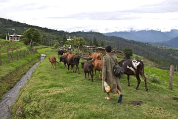 6-Day Cultural and Hiking Tour of Bhutan's Paro and Punakha