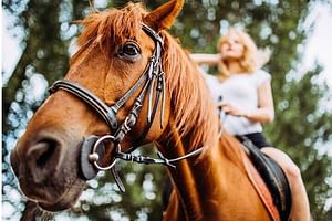 Ultimate Tulum Adventure: ATVs, Horses, Ziplines & Cenotes
