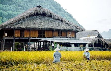 Half Day Walking Tour of Cat Cat Village in Sapa