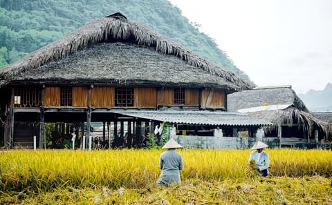Half Day Walking Tour of Cat Cat Village in Sapa