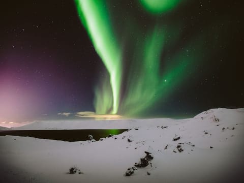 Northern lights in Iceland