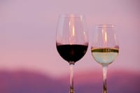 Cafayate Wine Trail Excursion: Explore Salta's Vineyards 6
