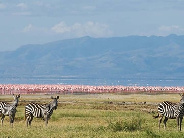 Tanzania-Tour-Safari-Package