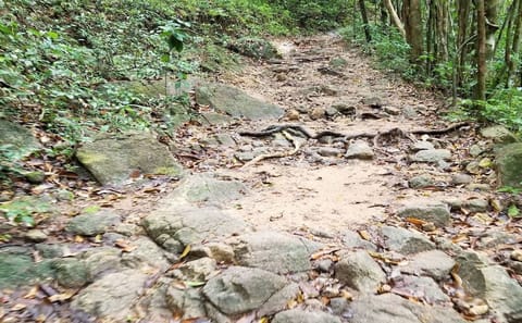 Hin Lad Waterfall Hiking Tour in Ko Samui, Thailand