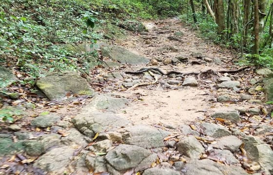 Hiking the Hin Lad Waterfall Trail