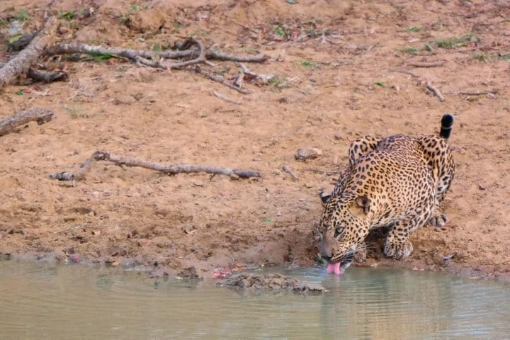 3 Days Hill Country Experience Sri Lanka