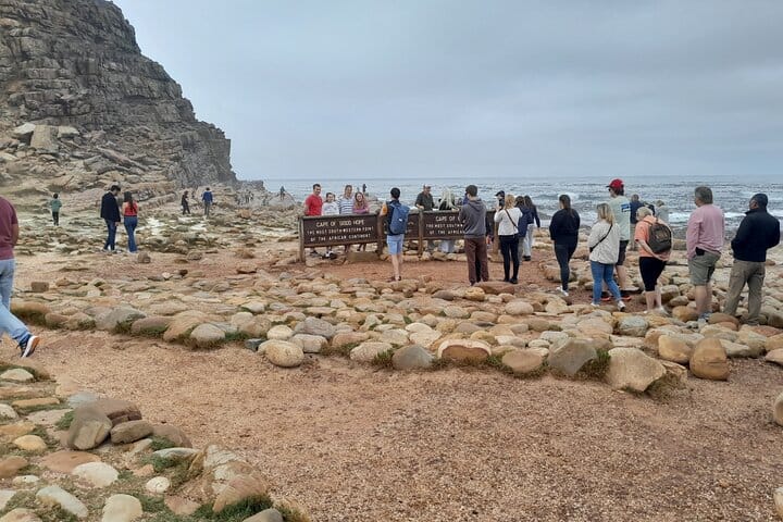 Table Mountain Cape Point Penguin Groot Constantia Private Tour