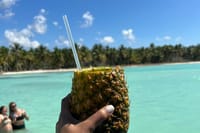 Saona Island and Chavon River Tour with Lunch and Drinks 6