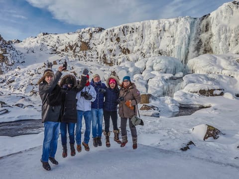 Private Luxury Golden Circle 10h tour, photo 5