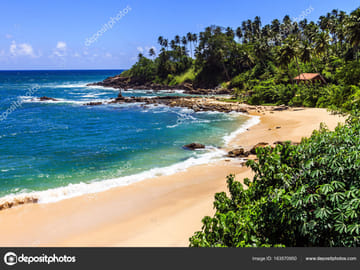 Ceylon Beach and Safari Tour in Katunayake, Sri Lanka