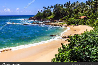 CEYLON BEACH & SAFARI EXPERIENCE