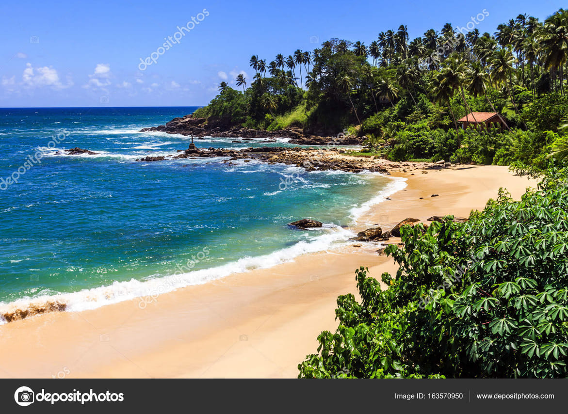 CEYLON BEACH & SAFARI EXPERIENCE  3