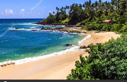 Ceylon Beach and Safari Tour in Katunayake, Sri Lanka