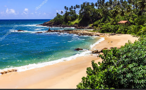 Ceylon Beach and Safari Tour in Katunayake, Sri Lanka