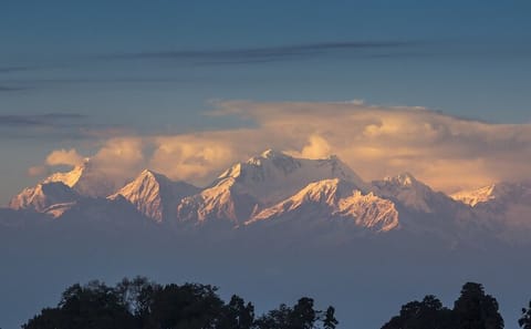 Cultural Tour of Colonial Cities and Tea Estates in Darjeeling