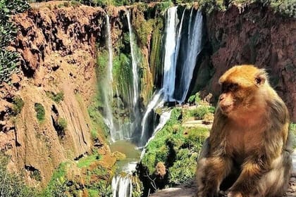 From Marrakech: Ouzoud Waterfalls Guided Hike and Boat Trip