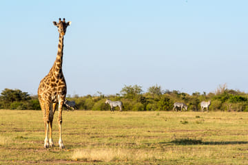 Horseback Riding Safari in Maasai Mara, Narok