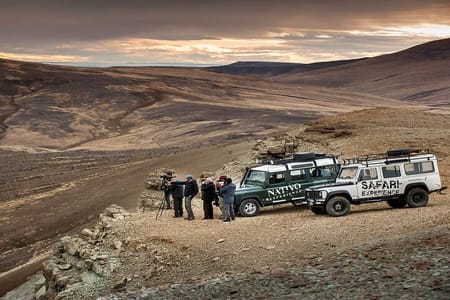 El Calafate Safari Experience