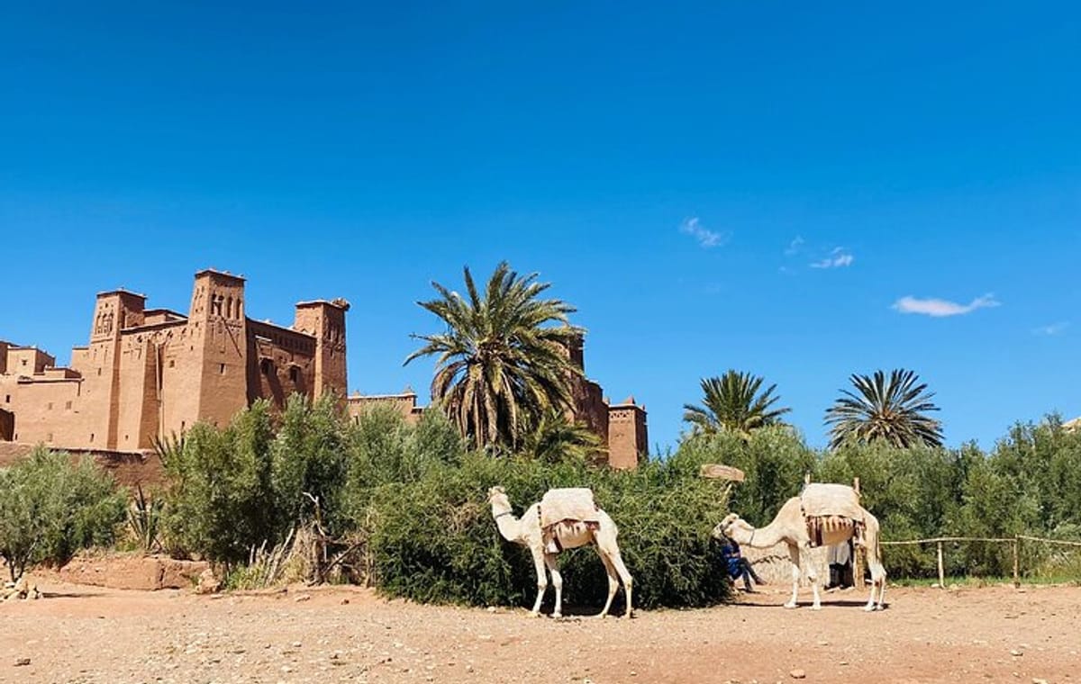 2-Days Ouarzazat & Ait ben Hadou Kasbah tour from Marrakech
