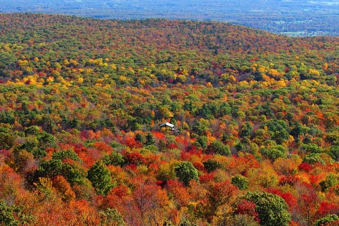 Private Hudson Valley Fall Foliage Helicopter Charter from Manhattan for up to 5 People photo 2