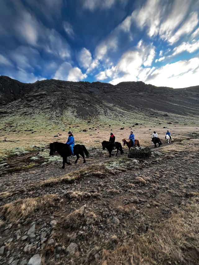 03A - Meadows and Mountains 4